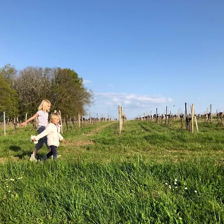 Le Clos De La Chataignere Vakantiehuis *