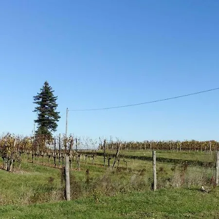 Vakantiehuis Le Clos De La Chataignere